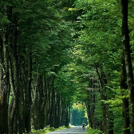 Hlapi With * Kobarid