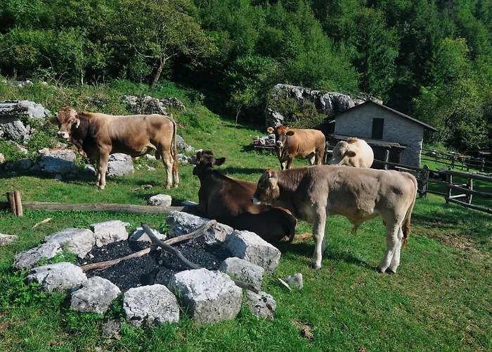 Hlapi With Lejlighed Kobarid